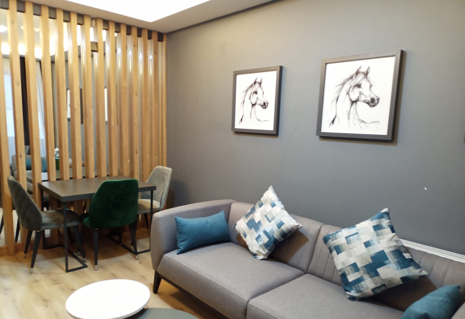 Sarıkamış Dinamik Otel Deluxe Suit Oda